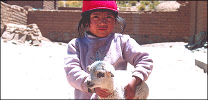 Niño en el noroeste argentino