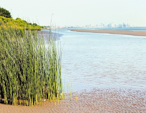 La zona sur tendr su Puerto Madero