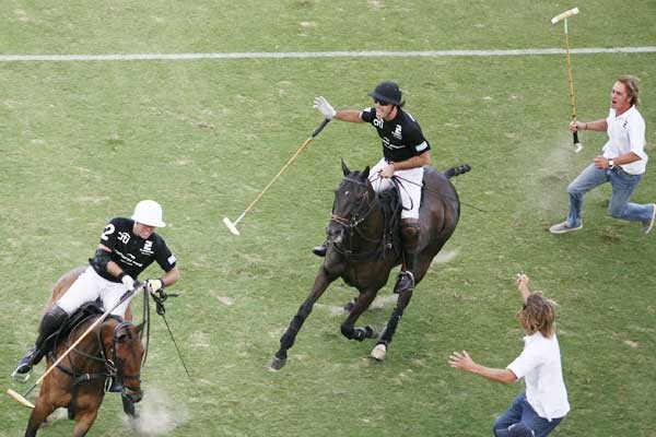 Ellerstina: un campen de oro que se hizo esperar por tres años